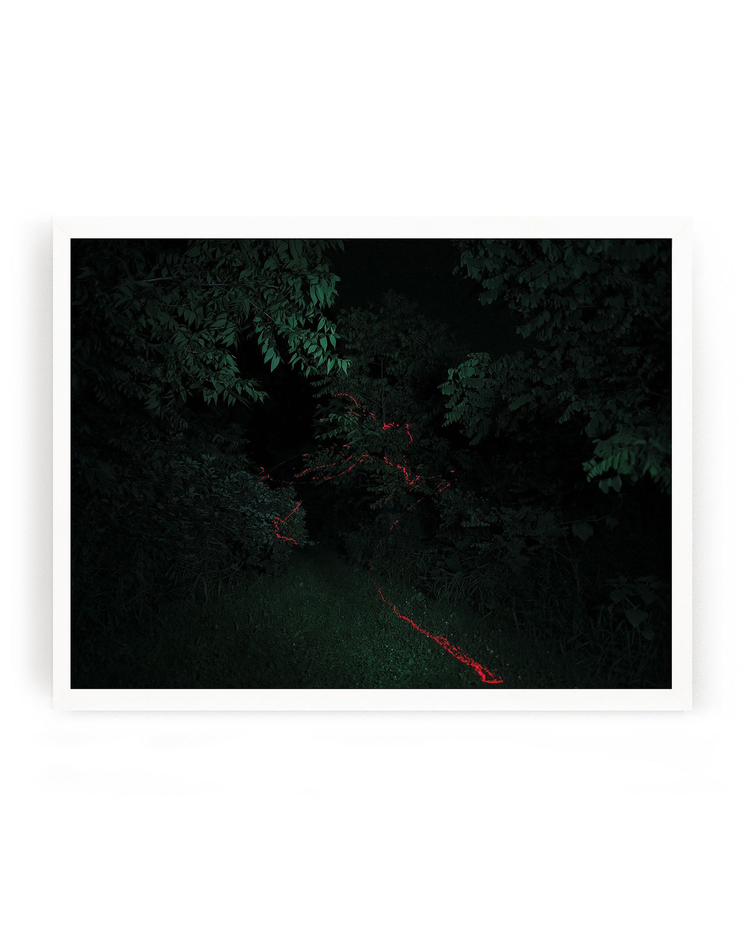 It Lies Red - Archival Pigment Print
