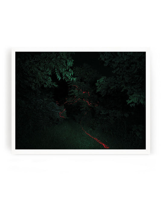 It Lies Red Print